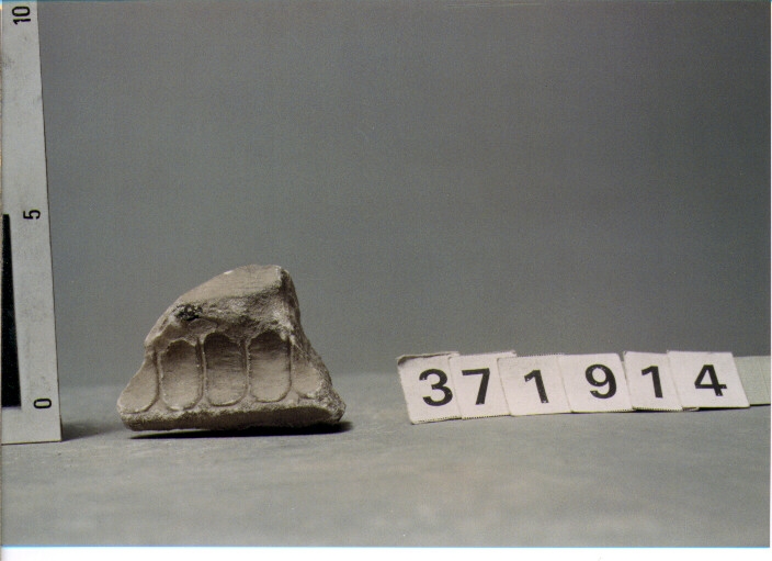 ELEMENTO ARCHITETTONICO (SECC. III A.C. / IV D.C)