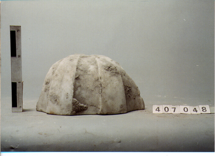 BACINO DI VASCA (SECC. XVI/ XIX D.C)