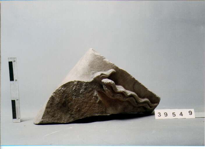 ERMA (SECC. III A.C. / IV D.C)