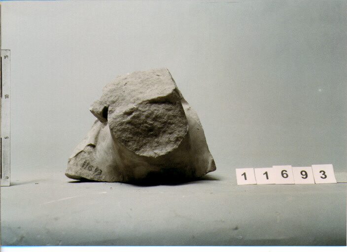 IMAGO CLIPEATA (SECC. III A.C. / IV D.C)