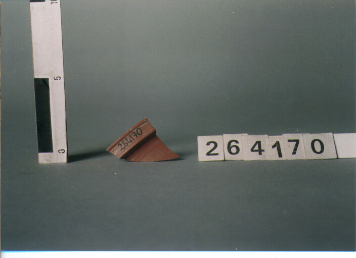 piatto/ orlo (SECONDA META'-FINE SECC. I A.C./ I D.C)