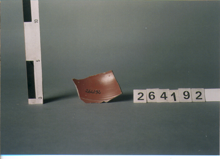 coppa/ parete (SECONDA META'-FINE SECC. I A.C./ I D.C)