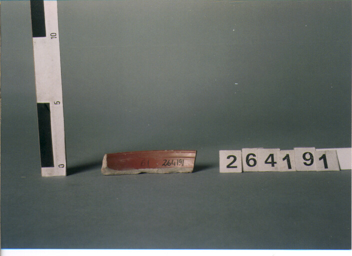 piatto/ orlo (SECONDA META'-FINE SECC. I A.C./ I D.C)