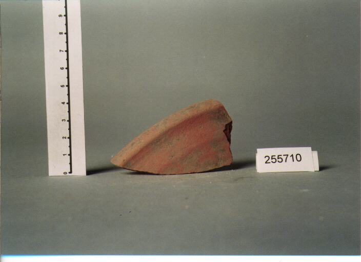 patera/ orlo (INIZIO-FINE secc. IV/ VI d.C)