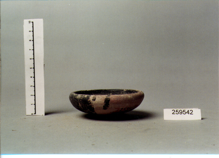 COPPETTA (secc. IV/ I a.C)