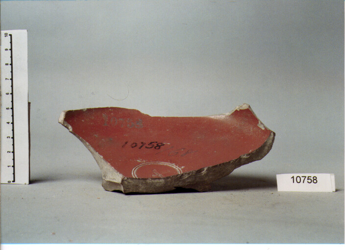 coppa/ forma parzialmente ricostruibile (SECC. I A.C./ I D.C)