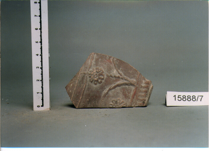 coppa/ parete (secc. I/ II d.C)