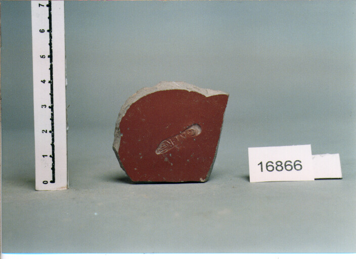 coppa/ fondo (secc. I a.C./ I d.C)