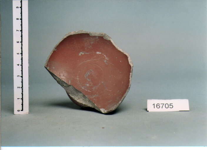 coppa/ forma parzialmente ricostruibile (secc. I a.C./ I d.C)