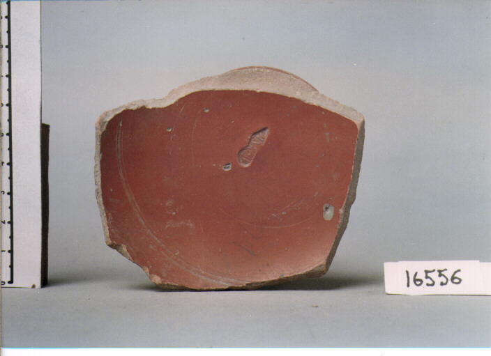 coppa/ forma parzialmente ricostruibile (secc. I a.C./ I d.C)