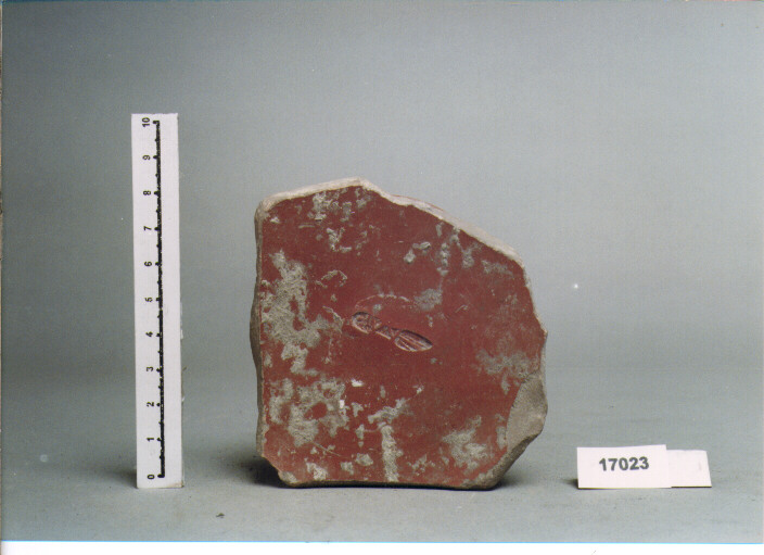 coppa/ fondo (SECC. I A.C./ I D.C)