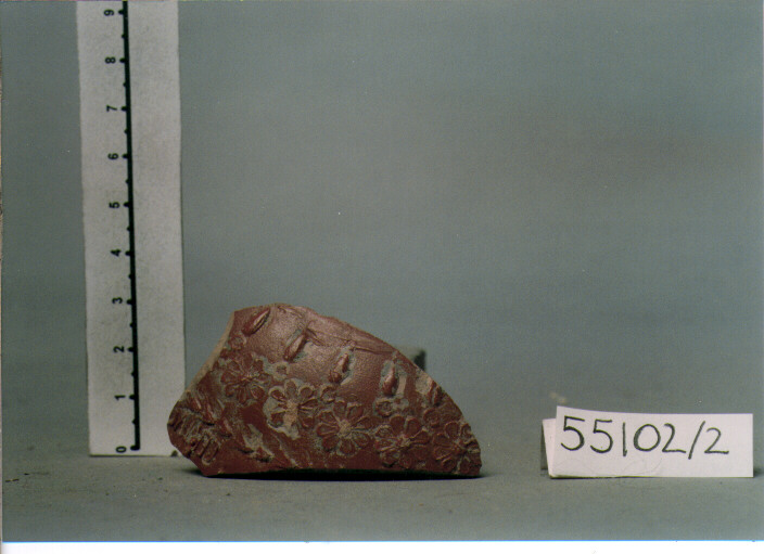 coppa/ parete (SECC. I A.C./ I D.C)