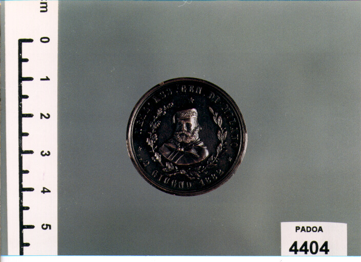 MEDAGLIA di C. F (SEC. XIX D.C)