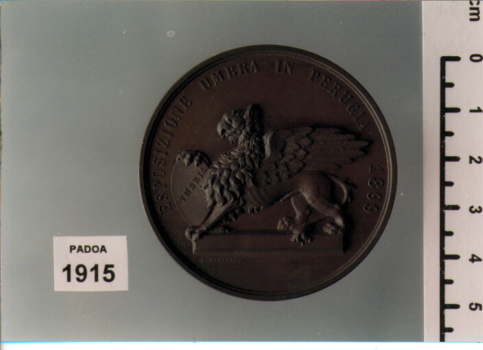 MEDAGLIA di ZANETTI D (SEC. XIX D.C)