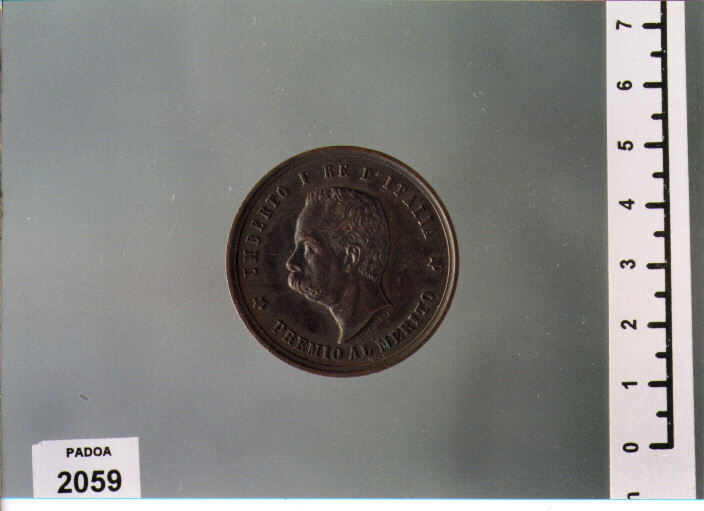 MEDAGLIA di Giani Giovanni (SEC. XIX D.C)