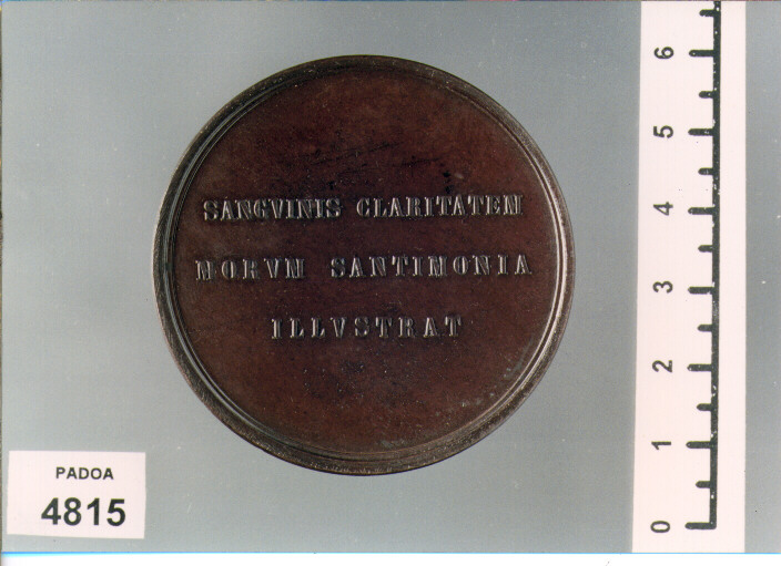 MEDAGLIA (SEC. XIX D.C)