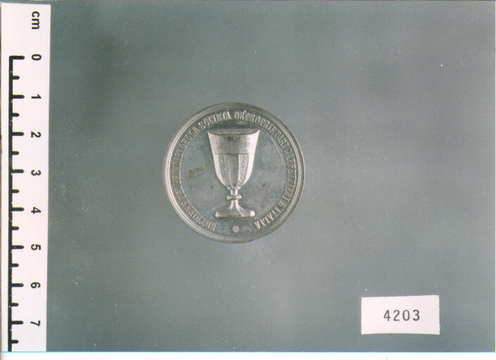 MEDAGLIA (SEC. XIX D.C)