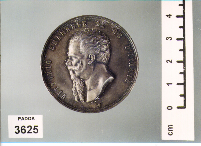 MEDAGLIA (SEC. XIX D.C)