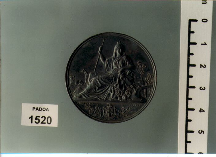 MEDAGLIA di PIERONI ADOLFO (SEC. XIX D.C)