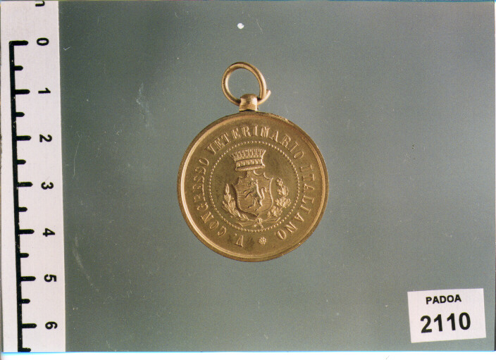 MEDAGLIA di Giani Giovanni (SEC. XIX D.C)