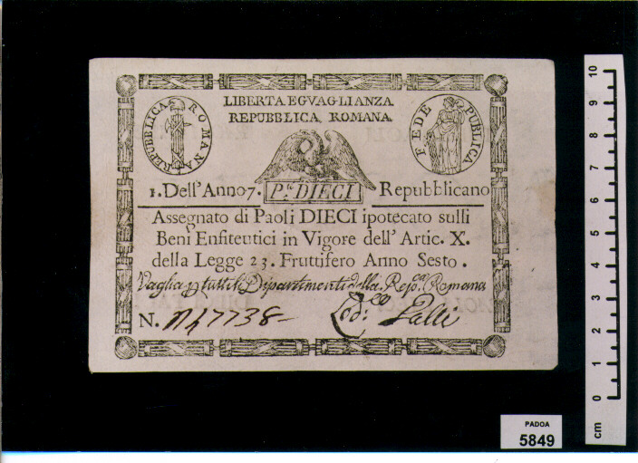 ASSEGNATO DI PAOLI 10 (SEC. XVIII D.C)