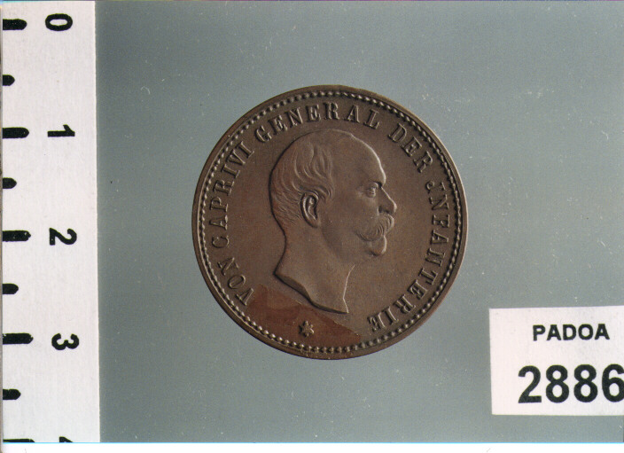 MEDAGLIA (SEC. XIX D.C)