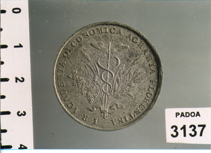 MEDAGLIA (SEC. XIX D.C)