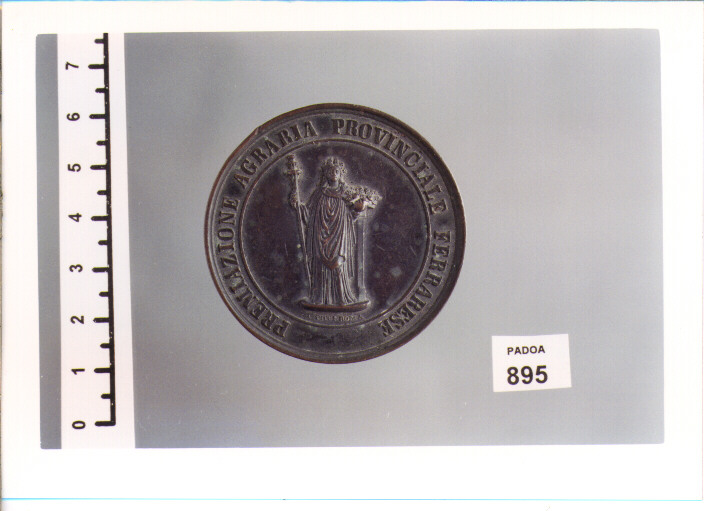MEDAGLIA di PICCI L (SEC. XIX D.C)