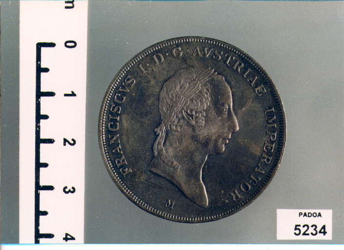 SCUDO (SEC. XIX D.C)