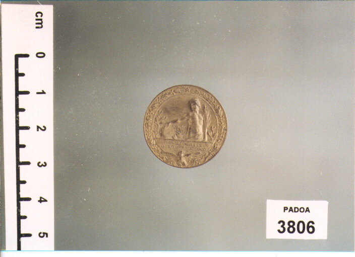 MEDAGLIA (SEC. XIX D.C)