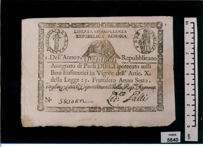 ASSEGNATO DI PAOLI 10 (SEC. XVIII D.C)