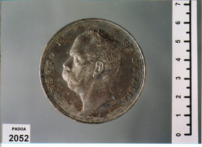 MEDAGLIA di Giani Giovanni (SEC. XIX D.C)