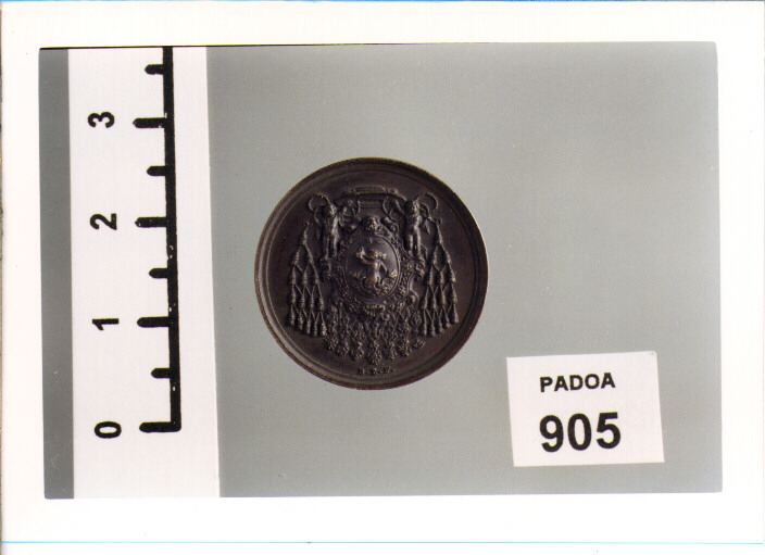 MEDAGLIA di ZACCAGNINI BONFIGLIO (SEC. XIX D.C)
