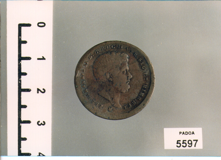 TORNESI 2 (SEC. XIX D.C)