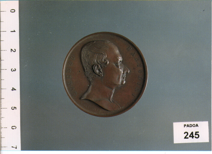 MEDAGLIA di BARTOLUCCI G, MUZZI L (SEC. XIX D.C)
