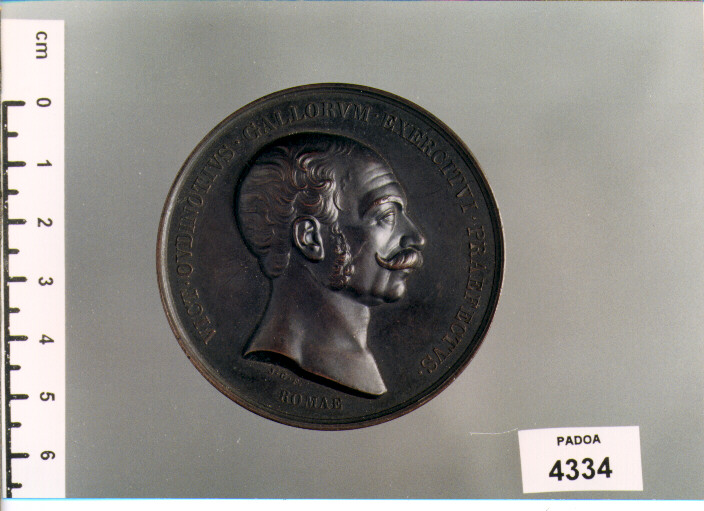 MEDAGLIA (SEC. XIX D.C)