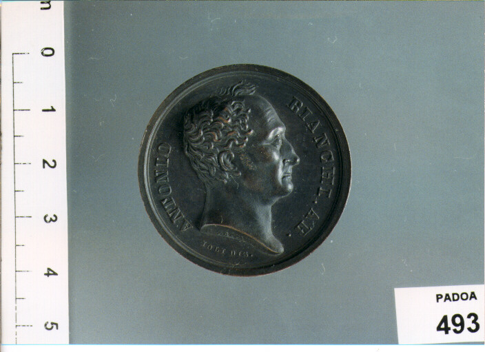 MEDAGLIA di ZAPPARELLI GIUSEPPE, IOLI (SEC. XIX D.C)