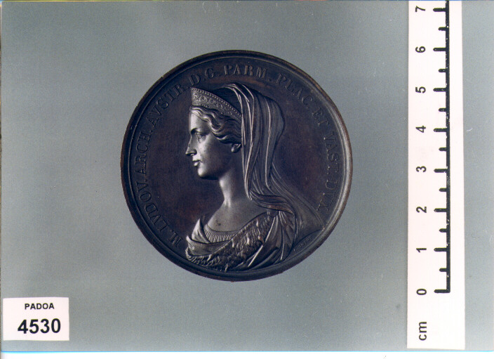 MEDAGLIA di VOIGT KARL FRIEDRICH, BENTELLI DOMENICO (SEC. XIX D.C)
