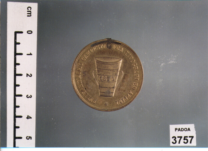 MEDAGLIA (SEC. XIX D.C)