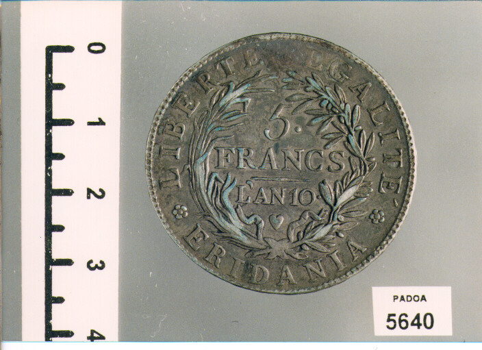 SCUDO di LAVY (SEC. XIX D.C)