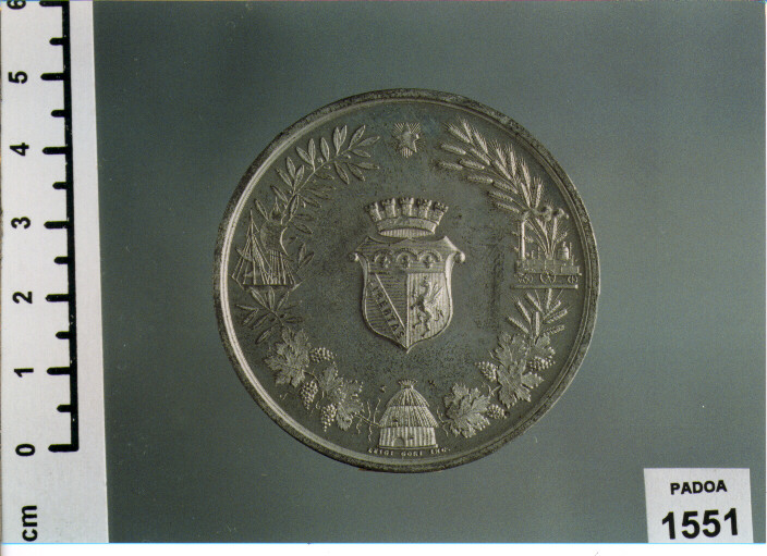 MEDAGLIA di Giorgi Luigi (SEC. XIX D.C)