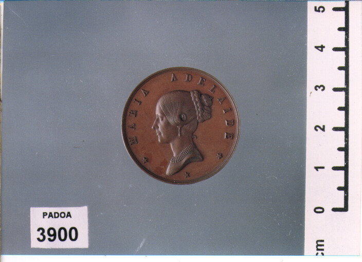 MEDAGLIA (SEC. XIX D.C)