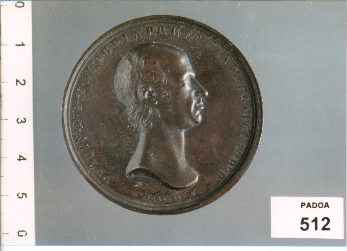 MEDAGLIA di MERLINI G (SEC. XIX D.C)