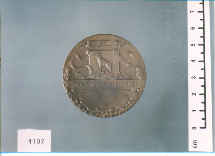 MEDAGLIA (SEC. XX D.C)