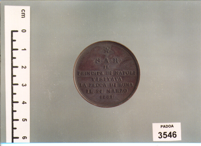 MEDAGLIA (SEC. XIX D.C)