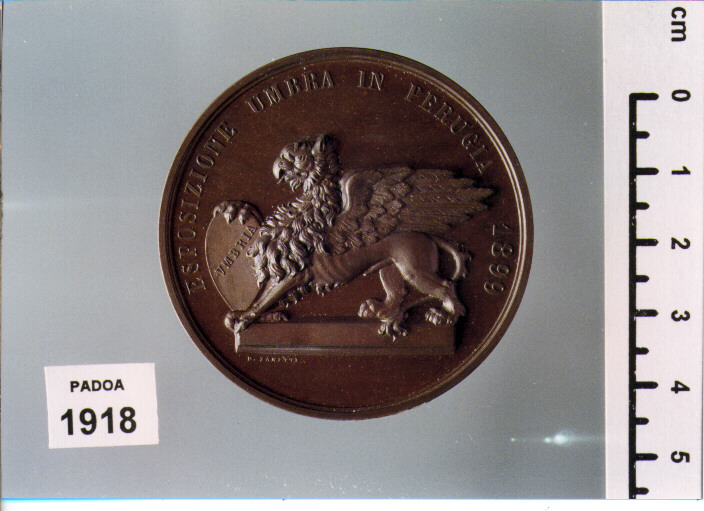 MEDAGLIA di ZANETTI D (SEC. XIX D.C)