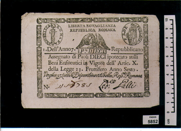 ASSEGNATO DI PAOLI 10 (SEC. XVIII D.C)