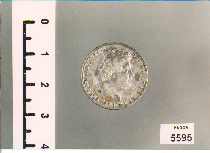 GRANA 20 (TARI') (SEC. XIX D.C)