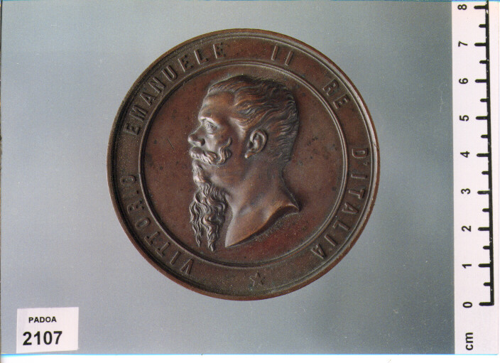 MEDAGLIA (SEC. XIX D.C)