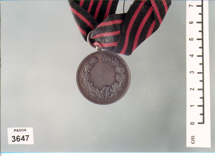 MEDAGLIA (SEC. XIX D.C)